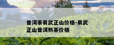 普洱茶易武正山价格-易武正山普洱熟茶价格