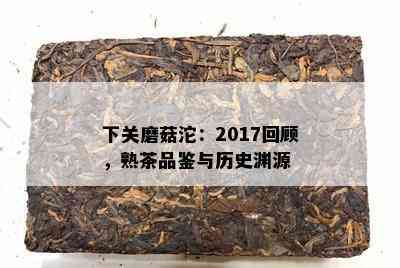 下关磨菇沱：2017回顾，熟茶品鉴与历史渊源