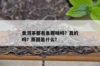 普洱茶都有腥味吗？真的吗？起因是什么？