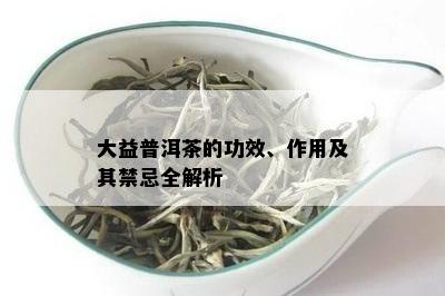 大益普洱茶的功效、作用及其禁忌全解析