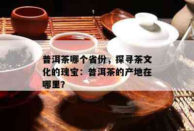 普洱茶哪个省份，探寻茶文化的瑰宝：普洱茶的产地在哪里？