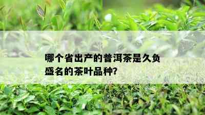 哪个省出产的普洱茶是久负盛名的茶叶品种？