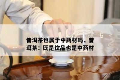 普洱茶也属于中材吗，普洱茶：既是饮品也是中材