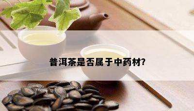 普洱茶是不是属于中材？