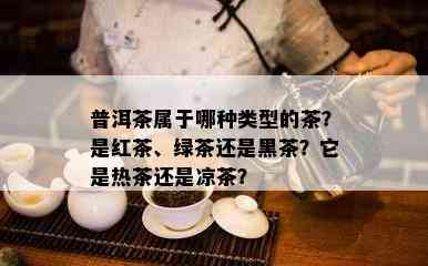 普洱茶属于哪种类型的茶？是红茶、绿茶还是黑茶？它是热茶还是凉茶？