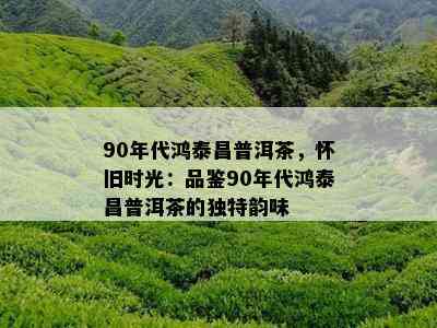 90年代鸿泰昌普洱茶，怀旧时光：品鉴90年代鸿泰昌普洱茶的独特韵味