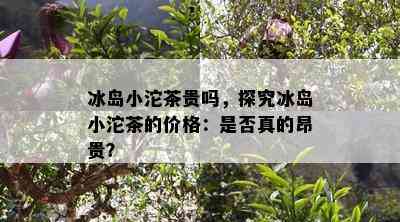 冰岛小沱茶贵吗，探究冰岛小沱茶的价格：是否真的昂贵？