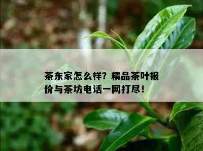 茶东家怎么样？精品茶叶报价与茶坊电话一网打尽！