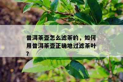 普洱茶壶怎么滤茶的，怎样用普洱茶壶正确地过滤茶叶？