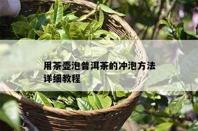 用茶壶泡普洱茶的冲泡方法详细教程