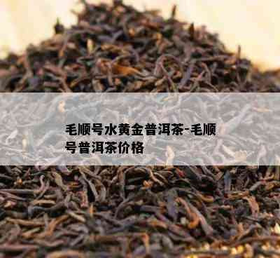 毛顺号水黄金普洱茶-毛顺号普洱茶价格