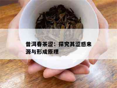 普洱春茶涩：探究其涩感来源与形成原理