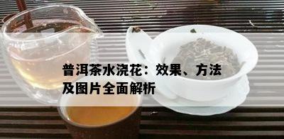 普洱茶水浇花：效果、方法及图片全面解析