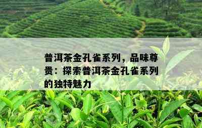 普洱茶金孔雀系列，品味尊贵：探索普洱茶金孔雀系列的特别魅力