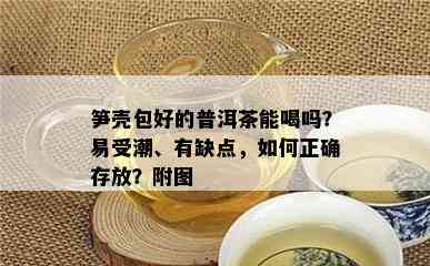 笋壳包好的普洱茶能喝吗？易受潮、有缺点，如何正确存放？附图