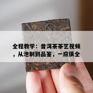 全程教学：普洱茶茶艺视频，从泡制到品鉴，一应俱全