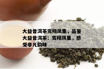 大益普洱茶鸾翔凤集，品鉴大益普洱茶：鸾翔凤集，感受非凡韵味