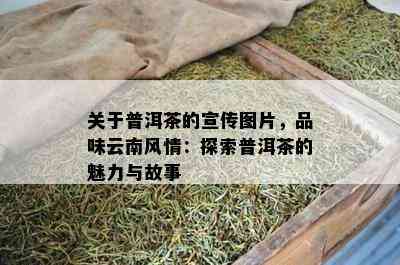 关于普洱茶的宣传图片，品味云南风情：探索普洱茶的魅力与故事