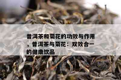 普洱茶和菊花的功效与作用，普洱茶与菊花：双效合一的健康饮品