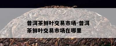 普洱茶鲜叶交易市场-普洱茶鲜叶交易市场在哪里