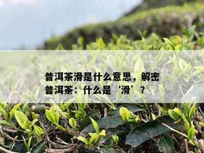 普洱茶滑是什么意思，解密普洱茶：什么是‘滑’？