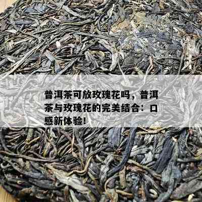 普洱茶可放玫瑰花吗，普洱茶与玫瑰花的完美结合：口感新体验！