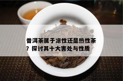 普洱茶属于凉性还是热性茶？探讨其十大害处与性质