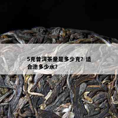 5克普洱茶量是多少克？适合泡多少水？