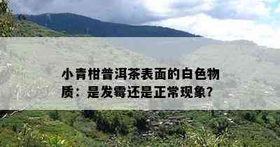 小青柑普洱茶表面的白色物质：是发霉还是正常现象？