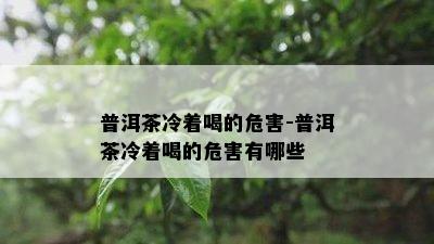 普洱茶冷着喝的危害-普洱茶冷着喝的危害有哪些