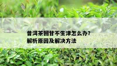 普洱茶回甘不生津怎么办？解析起因及解决方法