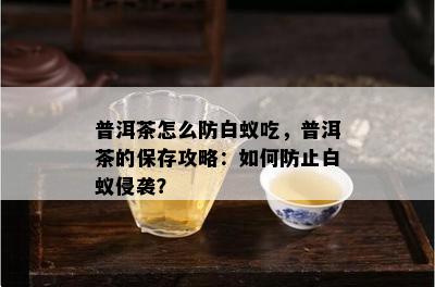 普洱茶怎么防白蚁吃，普洱茶的保存攻略：如何防止白蚁侵袭？