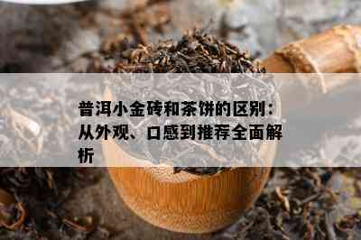 普洱小金砖和茶饼的区别：从外观、口感到推荐全面解析