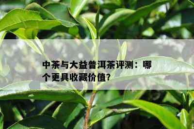 中茶与大益普洱茶评测：哪个更具收藏价值？