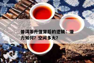 普洱茶升值背后的逻辑：潜力如何？空间多大？