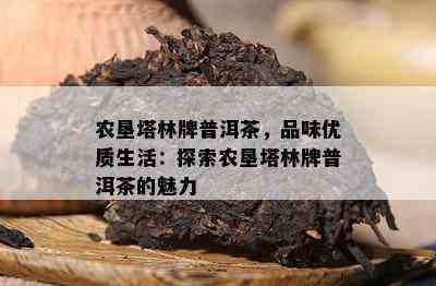 农垦塔林牌普洱茶，品味优质生活：探索农垦塔林牌普洱茶的魅力