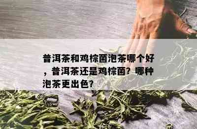 普洱茶和鸡棕菌泡茶哪个好，普洱茶还是鸡棕菌？哪种泡茶更出色？