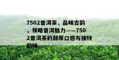 7502普洱茶，品味古韵，领略普洱魅力——7502普洱茶的醇厚口感与独特韵味