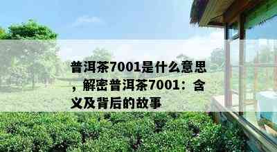 普洱茶7001是什么意思，解密普洱茶7001：含义及背后的故事