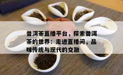 普洱茶直播平台，探索普洱茶的世界：走进直播间，品味传统与现代的交融