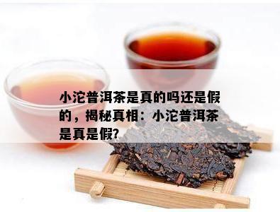 小沱普洱茶是真的吗还是假的，揭秘真相：小沱普洱茶是真是假？