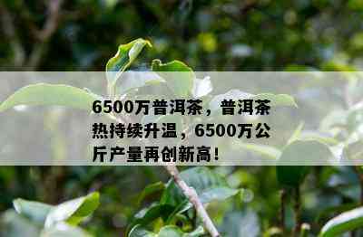 6500万普洱茶，普洱茶热持续升温，6500万公斤产量再创新高！