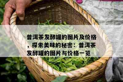 普洱茶发酵罐的图片及价格，探索美味的秘密：普洱茶发酵罐的图片与价格一览