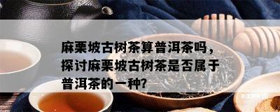 麻栗坡古树茶算普洱茶吗，探讨麻栗坡古树茶是不是属于普洱茶的一种？