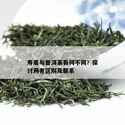 寿眉与普洱茶有何不同？探讨两者区别及联系