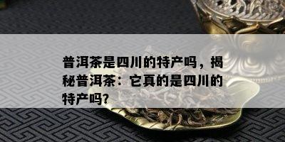 普洱茶是四川的特产吗，揭秘普洱茶：它真的是四川的特产吗？