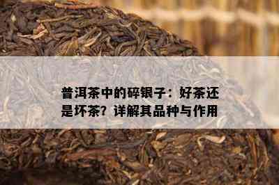 普洱茶中的碎银子：好茶还是坏茶？详解其品种与作用