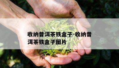 收纳普洱茶铁盒子-收纳普洱茶铁盒子图片