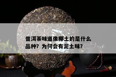 普洱茶味道像椰土的是什么品种？为何会有泥土味？