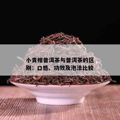 小青柑普洱茶与普洱茶的区别：口感、功效及泡法比较